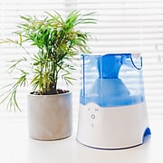 Crane Warm Mist Humidifier with Bacteria Free Mist, 0.5 Gal., Blue/White (EE-5202H)