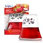 Bright Air Scented Oil & Holder, Macintosh Apple and Cinnamon (900022)~#|#~sp103678856_sc7