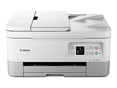 staples canon pixma tr4520