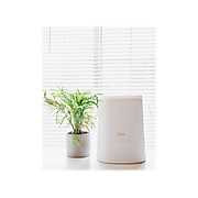 Crane 2-in-1 Top Fill Ultrasonic Cool Mist Humidifier & Essential Oil Diffuser, 1.2 Gal., White (EE-6909)