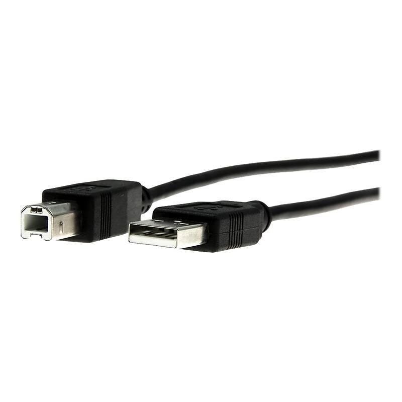Rocstor Premium 10' USB B Male/A Male Cable, Black (Y10C115-B1) image 1
