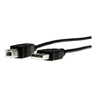 Rocstor Premium 10' USB B Male/A Male Cable, Black (Y10C115-B1)