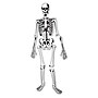 Learning Resources Skeleton Foam Floor Puzzle (LER3332)~#|#~sp106137133_sc7