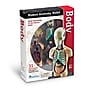 Learning Resources Human Body Anatomy Model (LER3336)~#|#~sp106137250_sc7