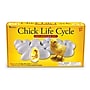 Learning Resources Chick Life Cycle Exploration Set (LER2733)~#|#~sp106137401_sc7
