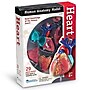 Learning Resources Heart Anatomy Model (LER3334)~#|#~sp106137438_sc7
