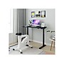 FlexiSpot 48"W Electric Rectangular Adjustable Standing Desk, Black (EC9B)~#|#~sp106467638_sc7