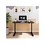 FlexiSpot 48"W Electric Rectangular Adjustable Standing Desk, Black (EC9B)~#|#~sp106467641_sc7