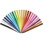 BIC Kids Crayons, 24/Pack (BKPC24-AST)~#|#~sp106647267_sc7