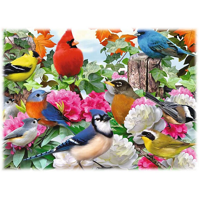 Ravensburger Garden Birds Puzzle, Entertainment, Multi-Grade