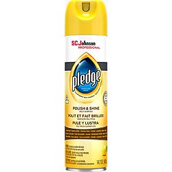 Furniture Cleaners