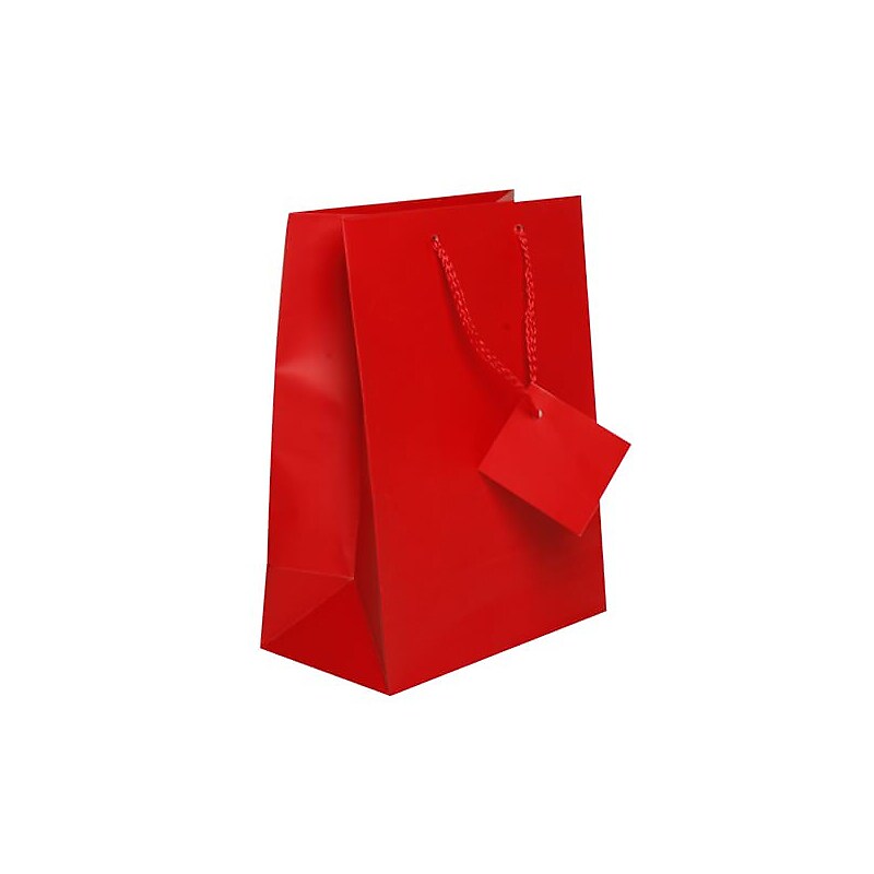 JAM Paper Gift Bags with Rope Handles, Medium, 8" x 10" x 4", Red Matte, 3/Pack (672MAREA) image 1