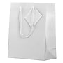 JAM Paper Glossy Gift Bag with Rope Handles, 8" x 4" x 10", White, 3 Bags/Pack (672GLWHB)~#|#~sp109345324_sc7