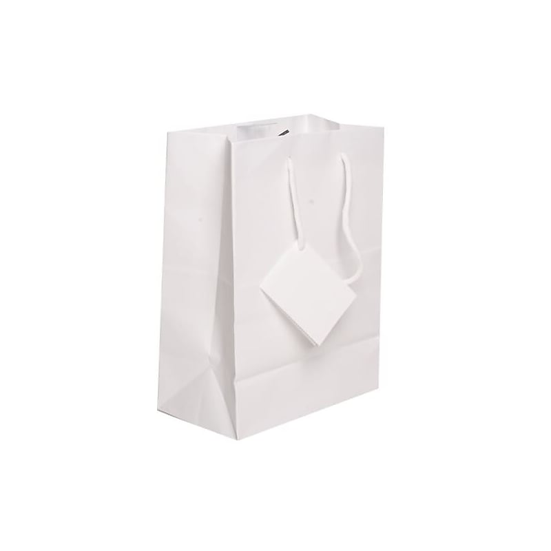 JAM Paper Matte Gift Bag with Rope Handles, 8" x 10" x 4", White, 3 Bags/Pack (672MAWHA) image 1