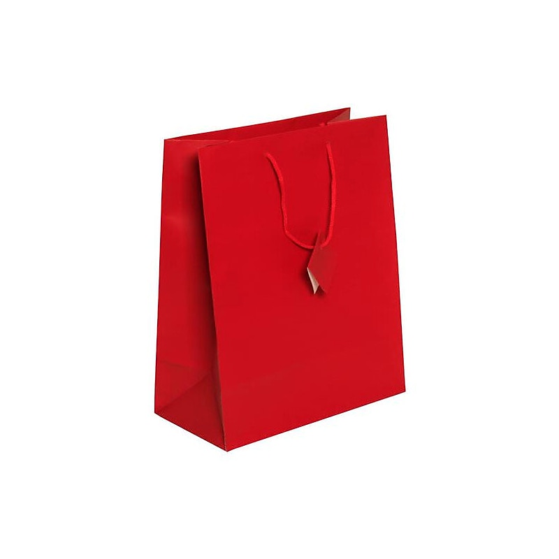 JAM Paper Matte Gift Bag with Rope Handles, 10" x 13" x 5", Red, 3 Bags/Pack (673MAREA) image 1