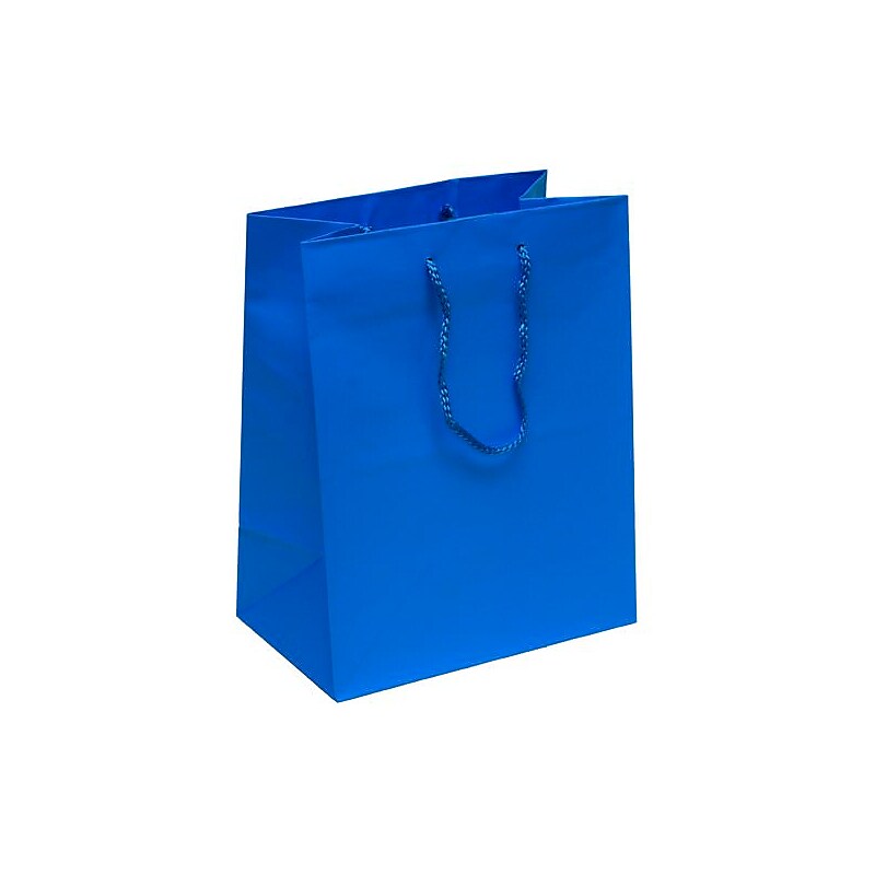 JAM Paper Matte Gift Bag with Rope Handles, 10" x 13" x 5", Blue, 3 Bags/Pack (673MABUA) image 1