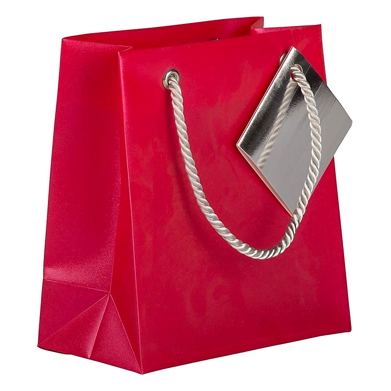 JAM PAPER Opaque Shopping Bags, Mini, 5 3/4 x 5 3/4 x 2 1/2, Red, Bulk 100 Bags/Pack (461996B) image 1