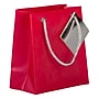 JAM PAPER Opaque Shopping Bags, Mini, 5 3/4 x 5 3/4 x 2 1/2, Red, Bulk 100 Bags/Pack (461996B)~#|#~sp109345366_sc7