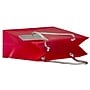 JAM PAPER Opaque Shopping Bags, Mini, 5 3/4 x 5 3/4 x 2 1/2, Red, Bulk 100 Bags/Pack (461996B)~#|#~sp109345369_sc7
