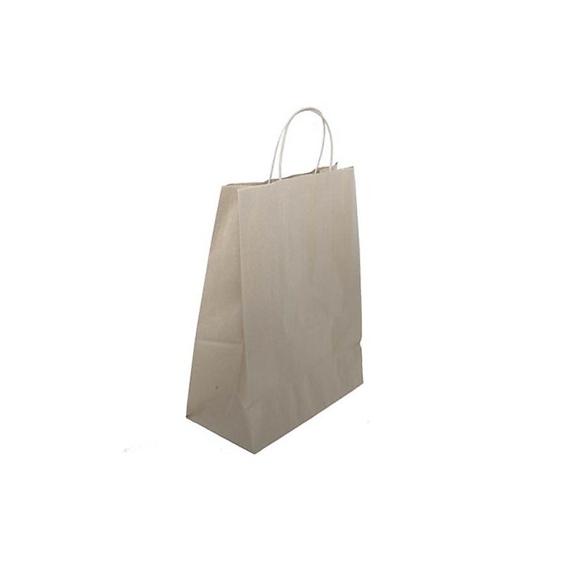 JAM Paper Solid Kraft Gift Bag, 12.625" x 15.5" x 6", Brown, 100 Bags/Pack (674KRBRB) image 1