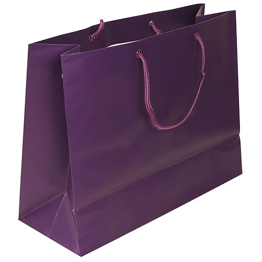 JAM PAPER Matte Horizontal Bags, Large, 13 x 10 x 5, Purple, Sold