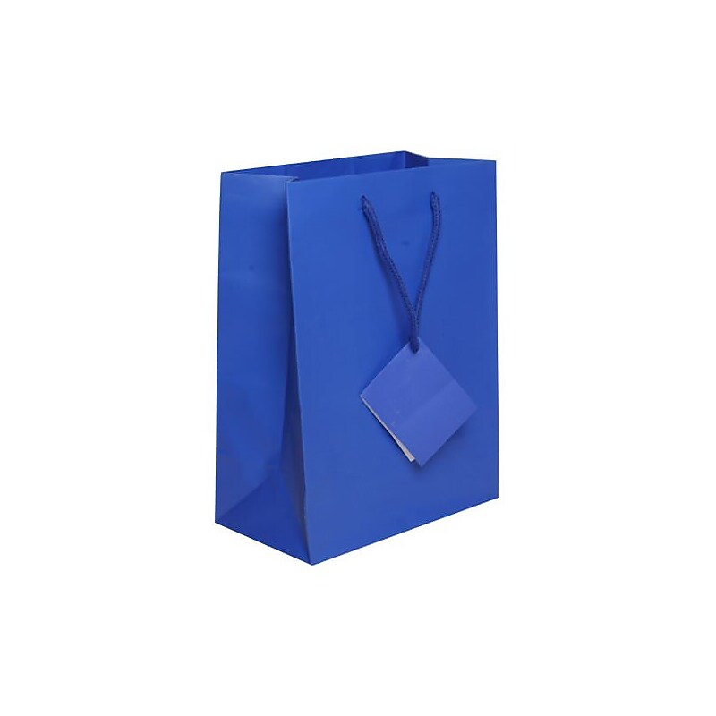 JAM Paper Matte Gift Bag with Rope Handles, 10" x 5" x 13", Blue, 3 Bags/Pack (672MABUA) image 1