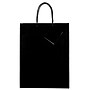 JAM Paper Glossy Gift Bags with Rope Handles, 10" x 5" x 13", Black, 100 Bags/Pack (673GLBL100)~#|#~sp109345401_sc7