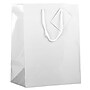JAM Paper Glossy Gift Bag with Rope Handles, 10" x 5" x 13", White, 3 Bags/Pack (673GLWHB)~#|#~sp109345404_sc7