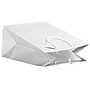 JAM Paper Glossy Gift Bags with Rope Handles, 10" x 5" x 13", White, 100 Bags/Pack (673GLWH100)~#|#~sp109345407_sc7