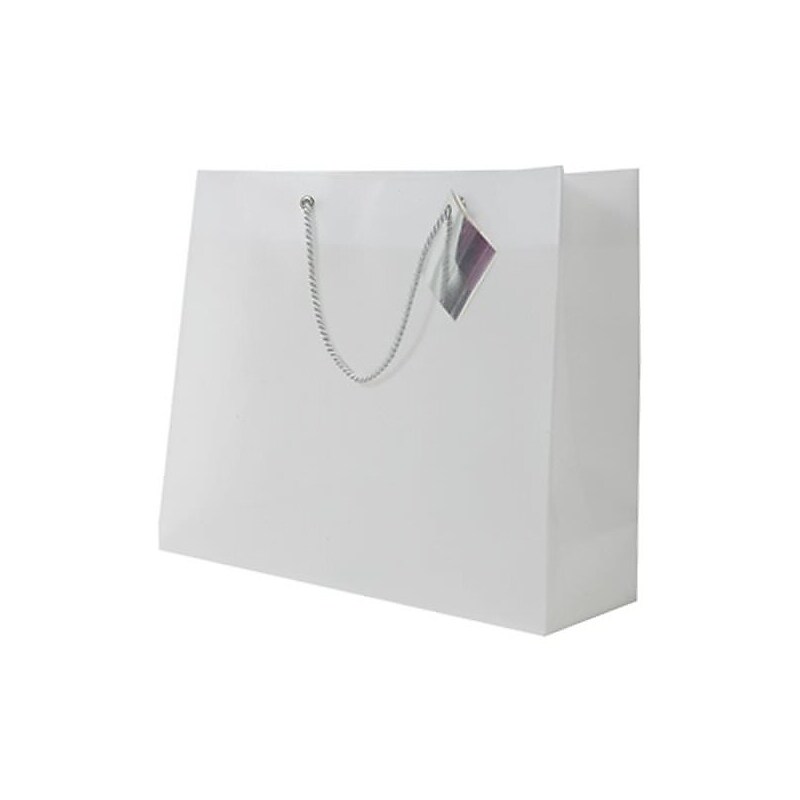 JAM PAPER Translucent Shopping Bags, 10 1/2 x 13 x 4, Clear, Bulk 500 Bags/Box (0462001C) image 1