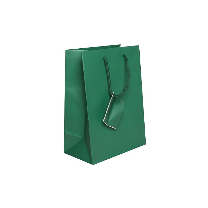 JAM Paper Matte Gift Bag with Rope Handles, 8" x 10" x 4", Green, 3 Bags/Pack (672MAGRA) image 1