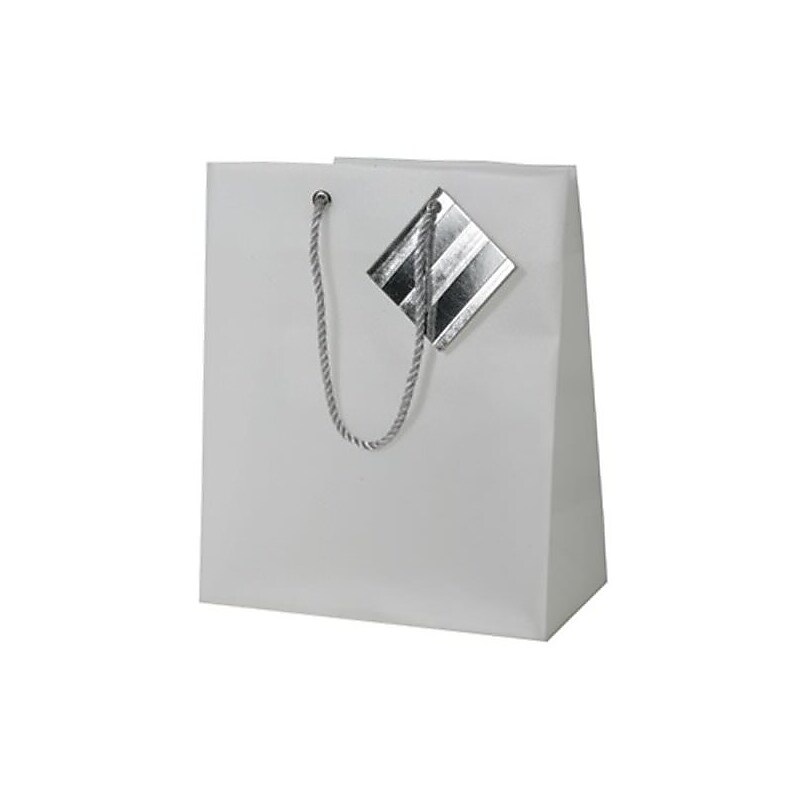 JAM PAPER Opaque Shopping Bags, Small, 7 1/2 x 9 x 4, Clear, Bulk 100 Bags/Pack (461998B) image 1