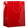 JAM Paper Glossy Gift Bags with Rope Handles, 10" x 13", Red, 3 Bags/Pack (673GLREB)~#|#~sp109345434_sc7