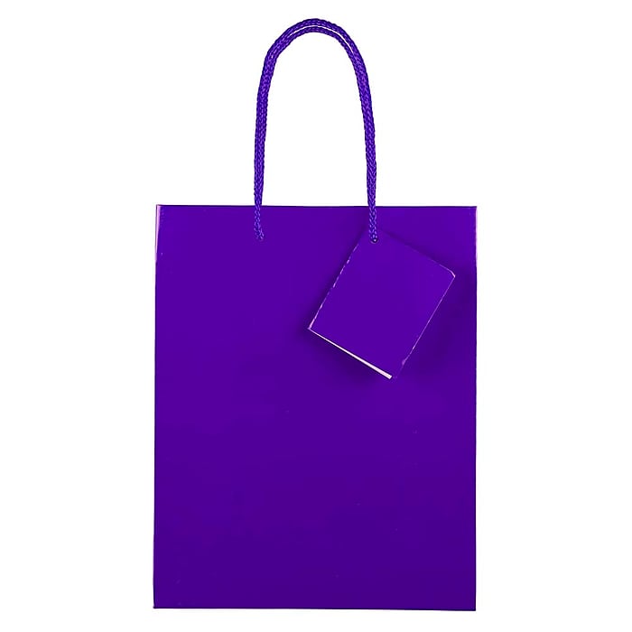 JAM Paper Glossy Gift Bag with Rope Handles, 8