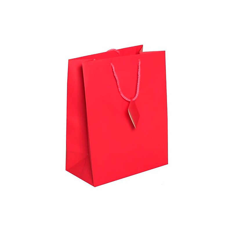 JAM Paper Gift Bags with Rope Handles, 10" x 13" x 5", Hot Pink Matte, 3/Pack (673MAHOPIA) image 1