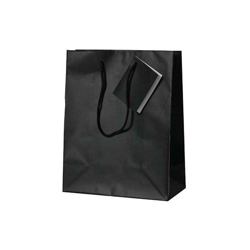 JAM Paper Matte Gift Bag with Rope Handles, 8" x 10" x 4", Black, 3 Bags/Pack (672MABLA) image 1