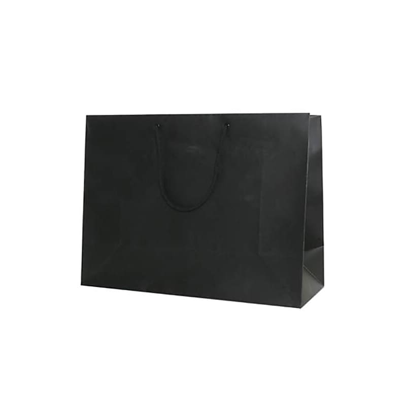 JAM Paper Matte Gift Bag with Rope Handles, 17" x 13" x 6", Black, 100 Bags/Pack (774MABLB) image 1