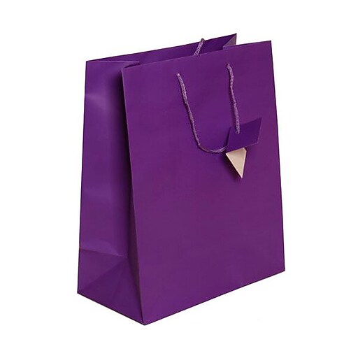 JAM PAPER Gift Bags with Rope Handles, Large, 10 x 13 x 5, Purple Matte
