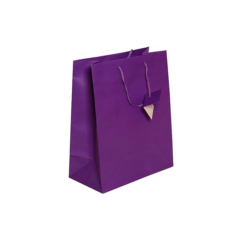JAM Paper Gift Bags with Rope Handles, 10" x 13" x 5", Purple Matte, 3/Pack (673MAPUA) image 1