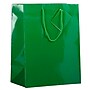 JAM Paper Glossy Gift Bags with Rope Handles, 10" x 13", Green, 3 Bags/Pack (673GLGRB)~#|#~sp109345528_sc7