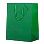 JAM Paper Glossy Gift Bags with Rope Handles, 10" x 13", Green, 3 Bags/Pack (673GLGRB)~#|#~sp109345530_sc7
