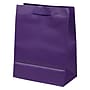 JAM Paper Gift Bags with Rope Handles, 8" x 10" x 4", Purple Matte, 3/Pack (672MAPUA)~#|#~sp109345569_sc7