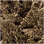 JAM Paper Crinkle Paper, Kraft (1192455)~#|#~sp109346194_sc7