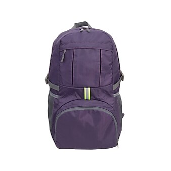 Nicci Laptop Backpack, Purple (CBM170003-PUR)