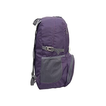 Nicci Laptop Backpack, Purple (CBM170003-PUR)