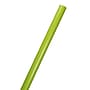 JAM Paper Wrapping Paper, 25 Sq. ft. x 30", Lime Green, 2/Pack (165S25LIA)~#|#~sp110983825_sc7