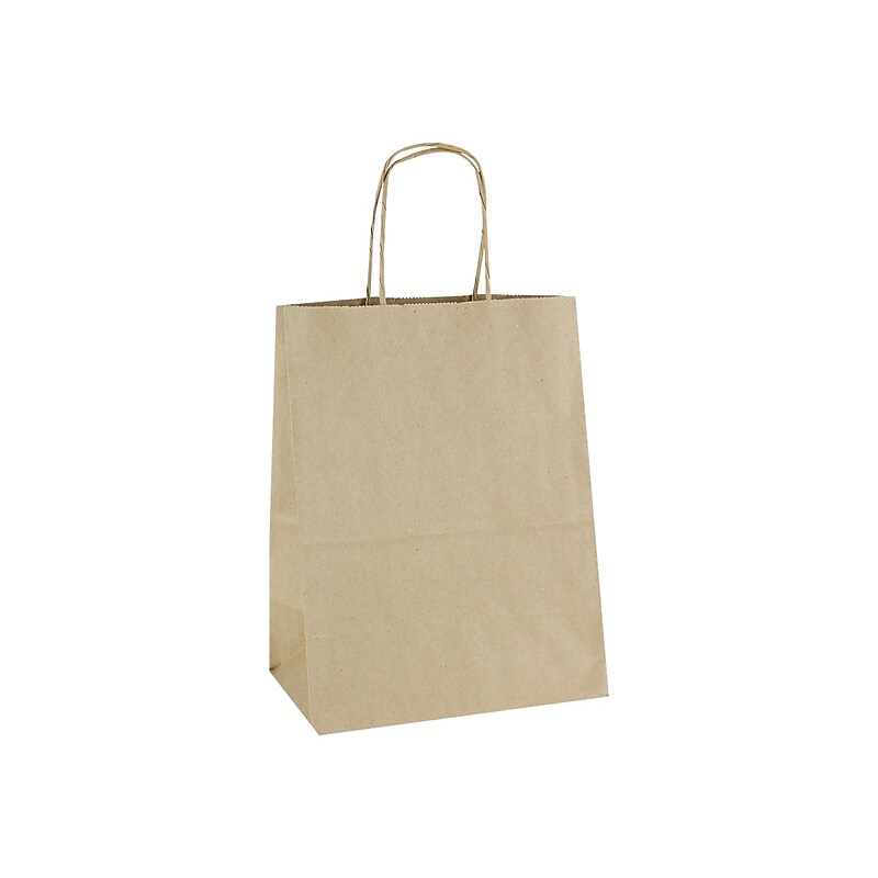 10.5" x 8.25" x 4.75" Kraft Paper Shopping Bags, Kraft, 250/Carton (BGS103K) image 1