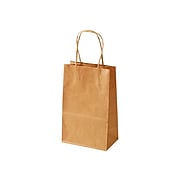 10.5"H x 8.25"W x 4.75"D Kraft Shopping Bags, 250/Carton (15-8)