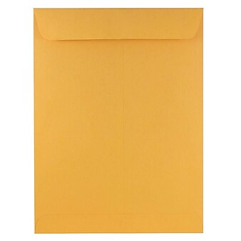 JAM Paper Open End Catalog Envelope, 9" x 12", Brown Kraft, 100/Pack (4132)