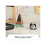 Amazon Echo Dot (4th Gen) Kids Edition, Panda (B084J4MJCK)
